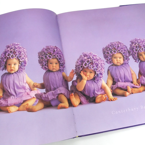 Down in the Garden by Anne Geddes Babies in Magical Gardens Photography - Imagen 7 de 8