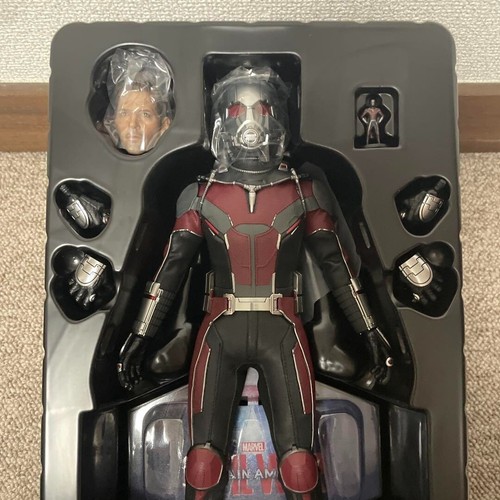 Hot Toys Ant-Man Movie Masiterpiece MMS362 Captain America Civil War Used Japan - Picture 7 of 14