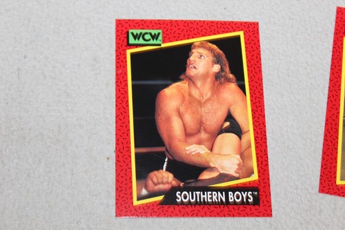 1991 Impel WCW Wrestling Card Complete Finish Fill Your List Set U-Pick - Bild 266 von 321