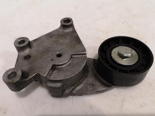 209020 Tensor de correa auxiliar para CITROEN C3 2009 247179 - Imagen 3 de 5
