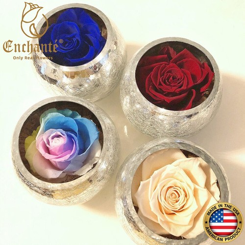 Echte erhaltene Ewigkeit für immer Rose Ring Box Vorschlag Valentinstag Geschenk - Bild 71 von 73