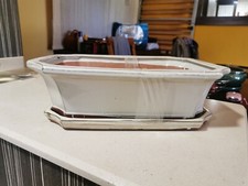 large bonsai pots and tray