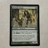 Heritage Druid - Morningtide ~ UNPLAYED NM/MT ~ MtG Magic the Gathering