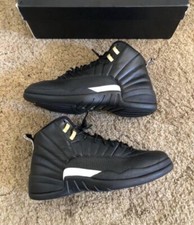 Size 13 - Air Jordan 12 Retro The Master