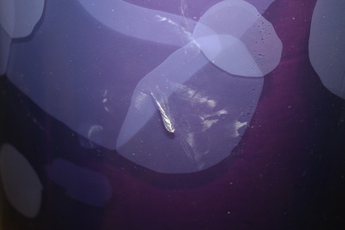 TMI Smooth PVC Replacement Roll 999-00121, 48" x 60', Clear, Strip Door Curtain - Picture 7 of 10