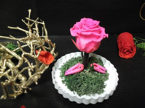 Belle Mini By Endura Roses100% Natural Preserved Last Upto 10 years - Picture 9 of 15