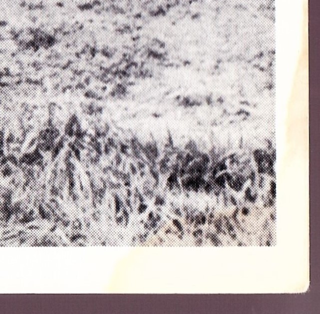Picture 2 of 5