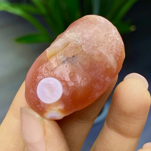 12GNatural Gobi Thousand Eyed Agate tumble palmstone Shape Reiki Chakra Healing - Picture 4 of 24