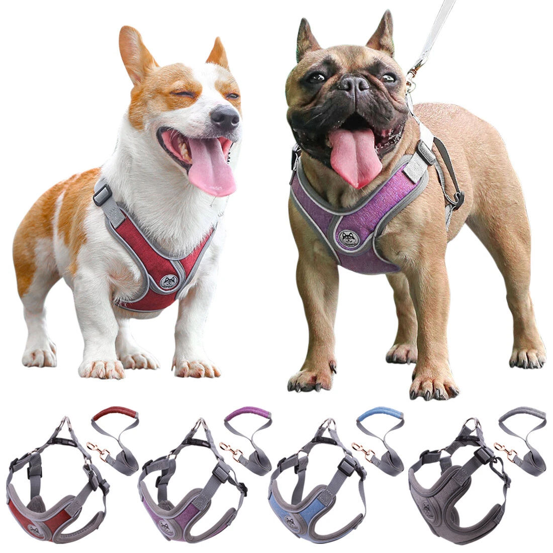 Dog Harness and Leash Set for Small Medium Dog No Pull Soft Mesh Chest Puppy