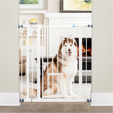Carlson Extra Tall Walk through Pet Gate with Small Pet Door, Includes 4-Inch Ex