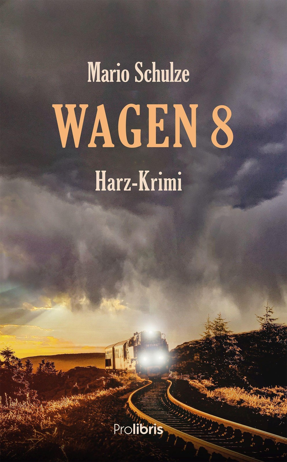 Wagen 8 Mario Schulze