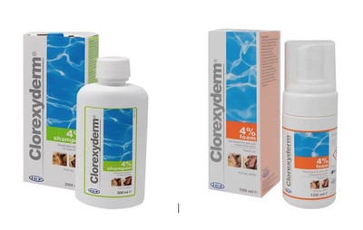 chlorhexiderm shampoo