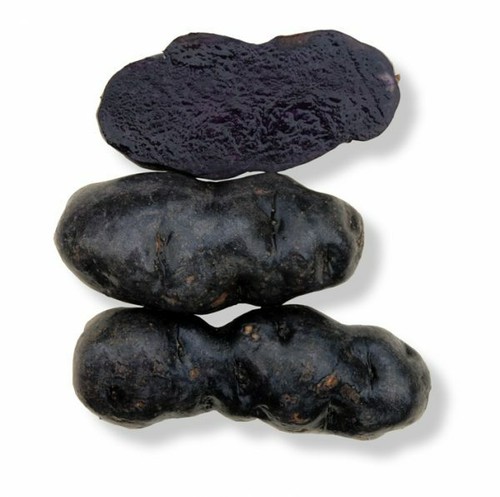 Purple Congo Seed Potatoes - 6 tubers - Organic Vegetable Garden grown in Tassie - Picture 4 of 5