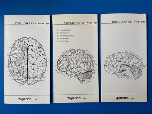 3 hojas Sawyer's Inc 1952 Triperidol Superioris y Lateralis Cerebra 2,3 y4 823f - Imagen 5 de 5