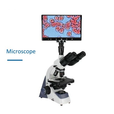XSP500 40-100X Trinocular Microscope Lab Microscope w/ LED 10.1'' Imaging System*