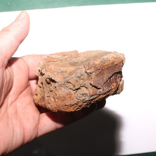 Triceratopo vertebra dinosauro osso fossile - formazione Hell Creek Cretaceo - Foto 6 di 10
