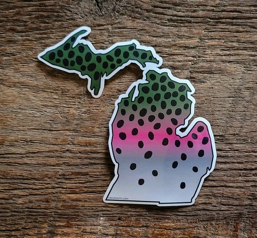RAINBOW TROUT Stickers STATE CUT-OUTS fishing MANY STATES fly fishing DECALS - Picture 39 of 113