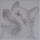Bild 9 von 9