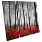 Stunning Red Forest Floor Landscapes TREBLE CANVAS WALL ART Picture Print