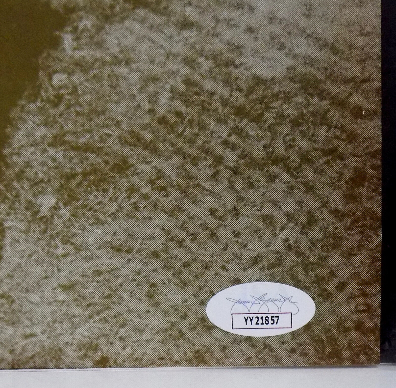 Picture 7 of 8