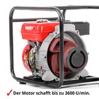 Bild 6 von 12