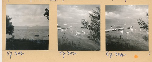 PREVERENGES Lac de Genève c. 1960 - 15 Photos Planche Contacts Suisse - PL 3004 - Picture 3 of 7