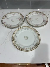 Vtg Limoges Theodore Haviland Co 9.50” D Plates (3)
