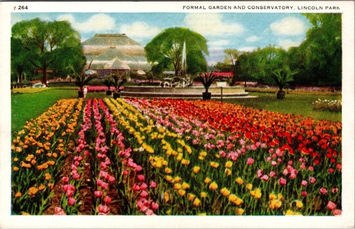 Vintage Lincoln Park formeller Garten Tulpenzeit Postkarte A.C. Co. - Bild 1 von 2