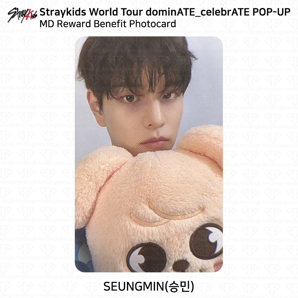 Stray Kids World Tour DominATE CelebrATE POP-UP MD Reward Benefit