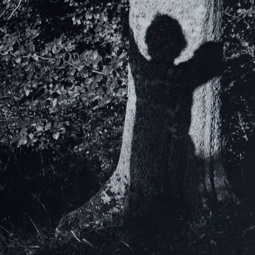 Lothar Baumgarten Ameisenstaat Hamburg Griffelkunst Original Offsetdruck 1978 - Picture 1 of 5