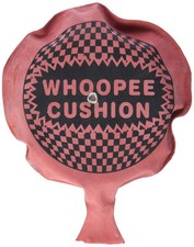 TOF Selbstaufblasendes Pupskissen NEU