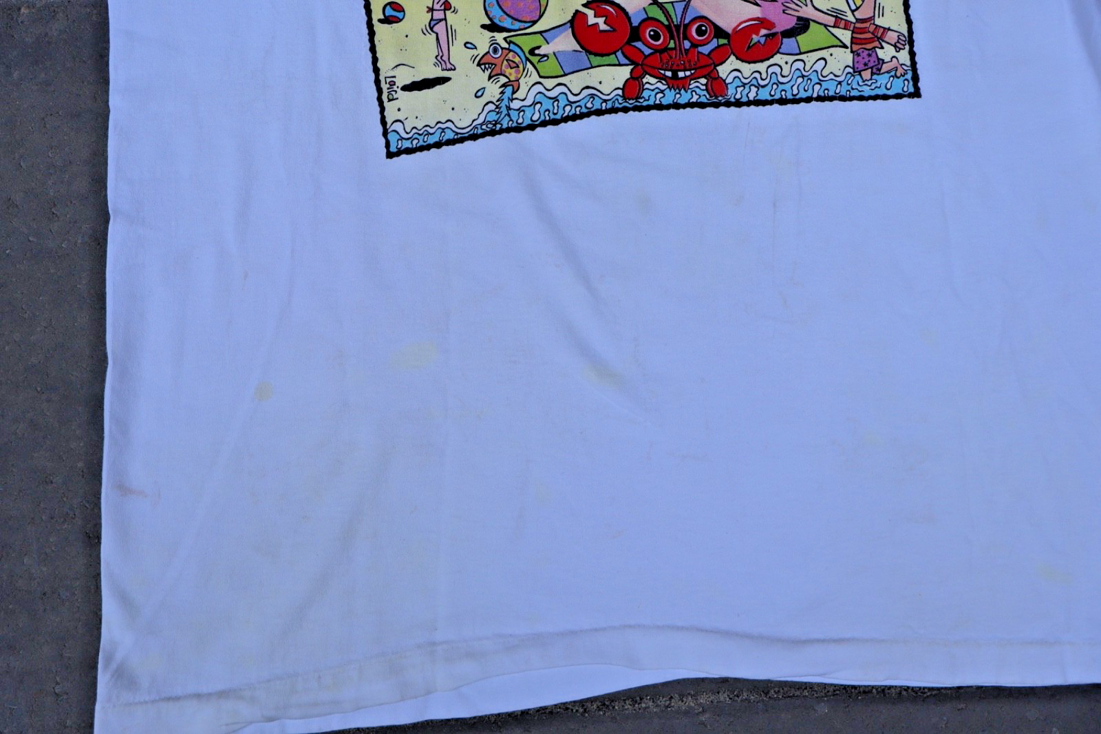 Foto 9 di 9