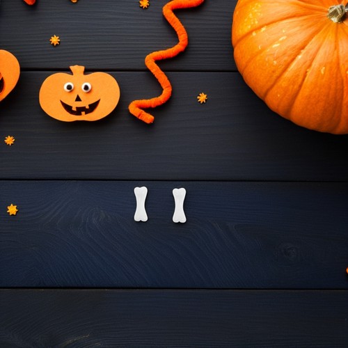  500 Stck. Cosplay Halloween Deko Party Skelett Knochen Requisiten - Bild 7 von 12