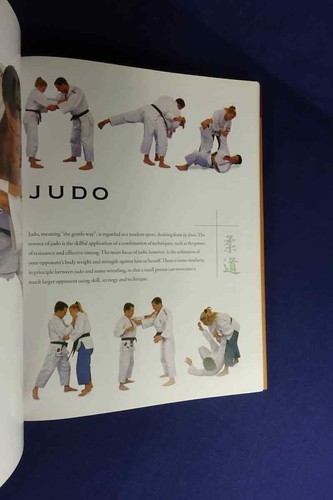 THE ULTIMATE BOOK OF MARTIAL ARTS Fay Goodman KARATE KUNG FU KENDO JUDO etc HCDJ - Bild 9 von 12
