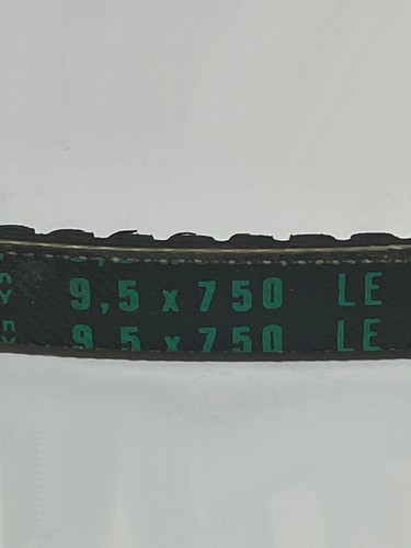 CINGHIA TRAPEZOIDALE 9.5X750LA PIRELLI 6624 - Imagen 3 de 6