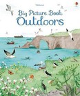 Big Picture Book of Outdoors by Minna Lacey (Hardback, 2017)
