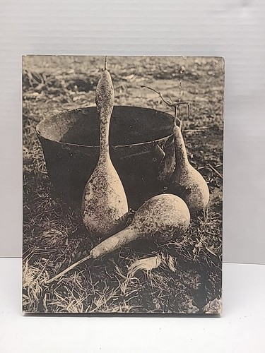 Fotografía montada antigua en blanco y negro #10 "GOURDS I" sobre base de madera-LEER-firmada ~FS