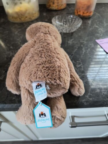 Jellycat Bashful Sloth - New With Tags - Retired Design - Picture 2 of 5
