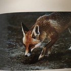 Picture 3 of 5
