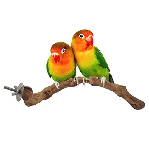 1/2/4 Pcs Pet Parrot Bird Standing Stick expédition Wood Pole Cockatiel Standing Brac-wf