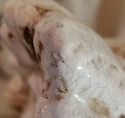 Foto 6 di 7
