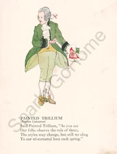 Flower Children Book Illustration Plates 1918 Painted Trillium Yellow Star Grass