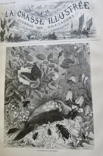 Chasse illustrée - Journal des chasseurs et de la vie à la campagne 1879 - Imagen 5 de 13