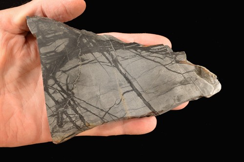 Picasso Marmor Platte 6" x 4" groß grob Lapidar Kabbing Scheibe Gestein Mineral - Bild 2 von 2