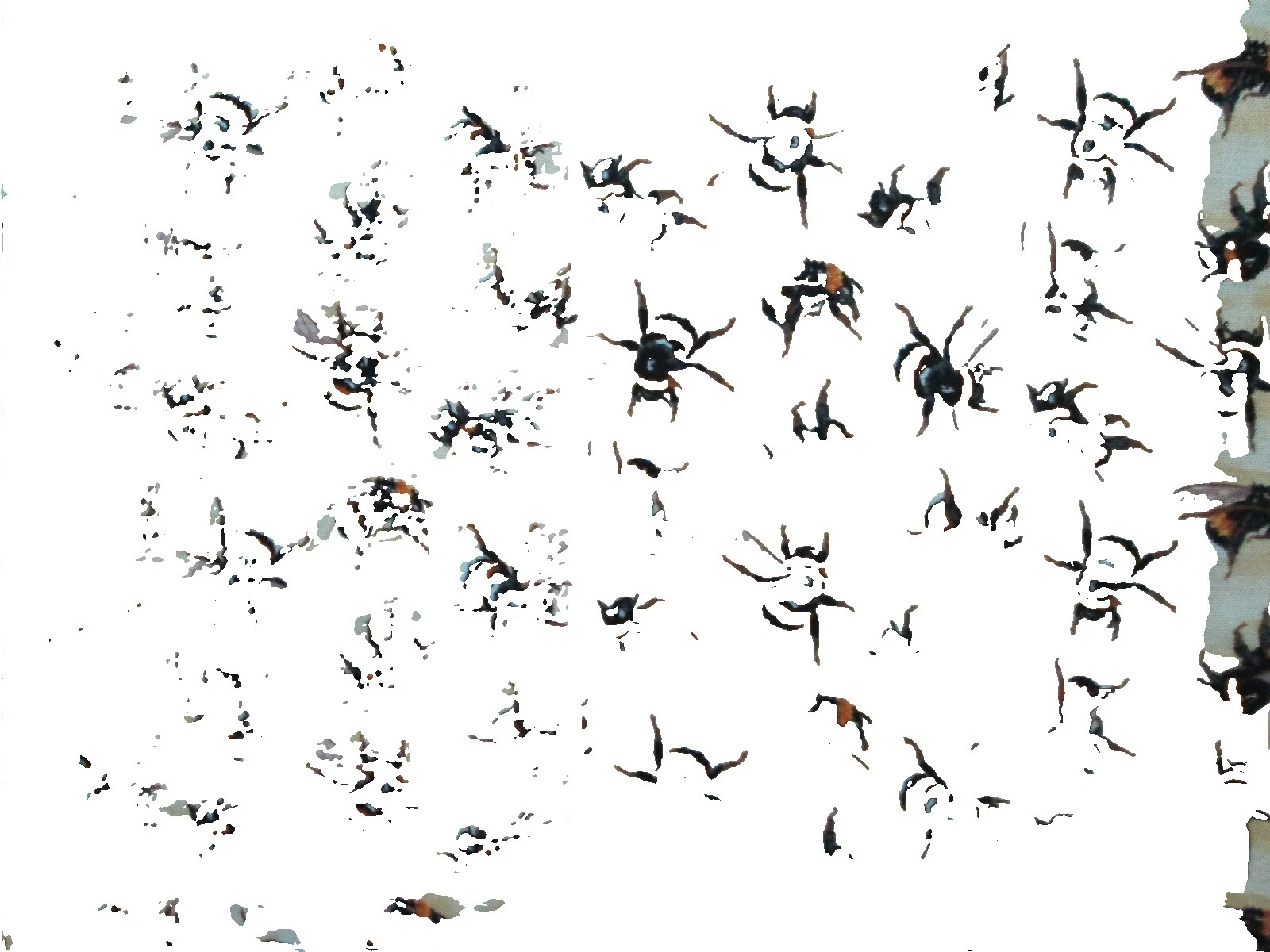 Bee Multicolor Fabric Blankets/Throws