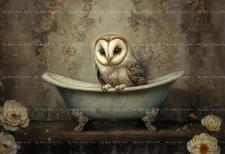 BARN OWL BATHTUB ART PRINT, Bird Cottagecore Home Decor, Bathroom Poster E777
