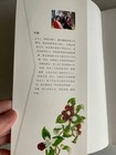 Foto 2 di 5
