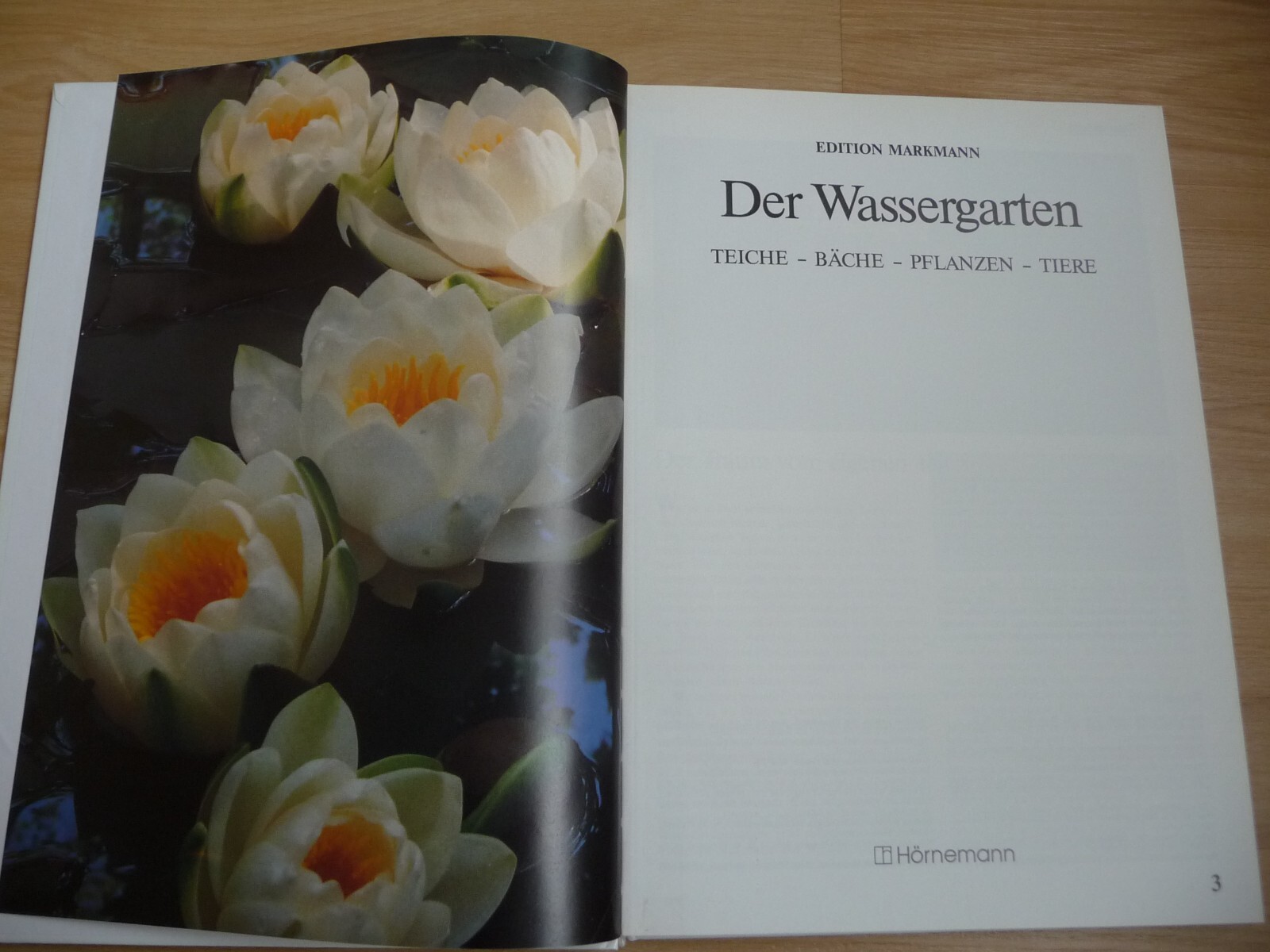 Bild 2 von 11