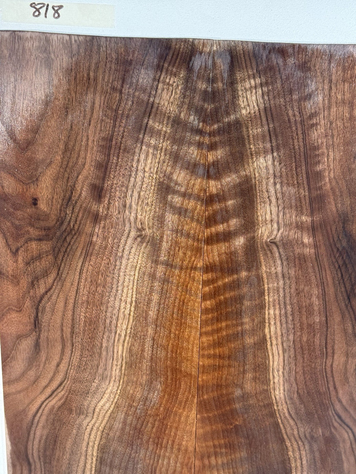 Picture 5 of 8