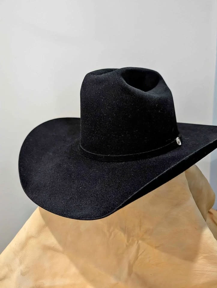 Resistol Beaver Hats for Men for sale | eBay